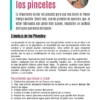 pagina muestra ebook curso básico de acuarela