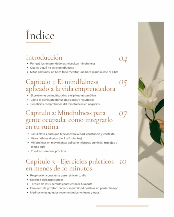 Mindfulness en Modo Emprendedor - Ebook índice 1