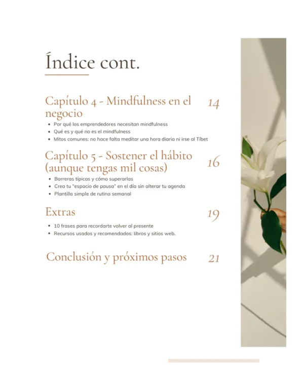Mindfulness en Modo Emprendedor - Ebook índice 2